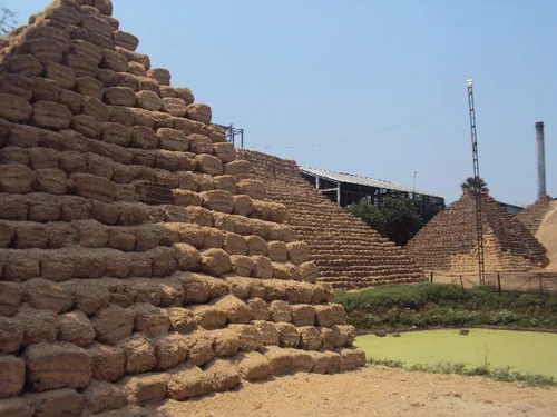Bagasse Image